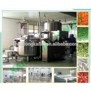 China Best qualilty and good price vacuum frying machine potato chips making machine for sale