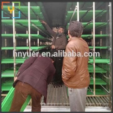 High Output Goat Animal Feed Barley Wheat Hydroponic Fodder Machine In Qatar