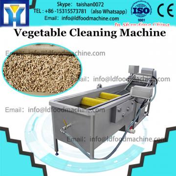 Air bubble lettuce spinach celery cabbage leek washing cleaning machine