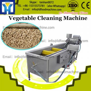 Automatic lifting air bubble washing machine for coriander