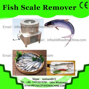 Automatic fish scales removing machine