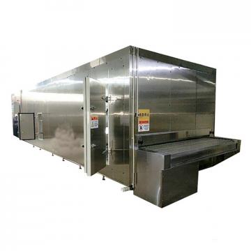 100Kg h Small Medium Snack Food Frozen Potato Chips French Fries Machine Production Line