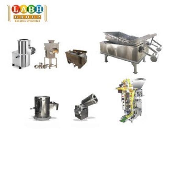 Continuous Production Machines for Fried Potato Chips