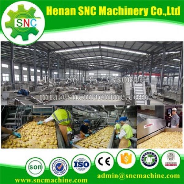 SNC French fries or Potato chips machine China supplier sweet potato chips making machine