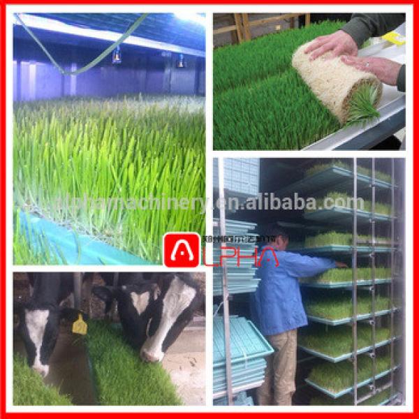 plastic seedling tray /animal feed hydroponic fodder making machine/ pasture sprout growing equipment with fodder corn tray