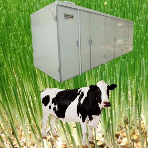 Animal Poultry Livestock Feeding hydroponic barley sprouting machine
