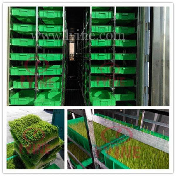 hydroponics barley sprout machine for sprouting barley fodder seeds/ animal feed breeding container with green tray