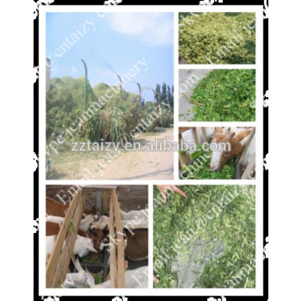 Factory price hey grass chaff cutter machine for animal feed with high quality (SKype:jeanmachinery)