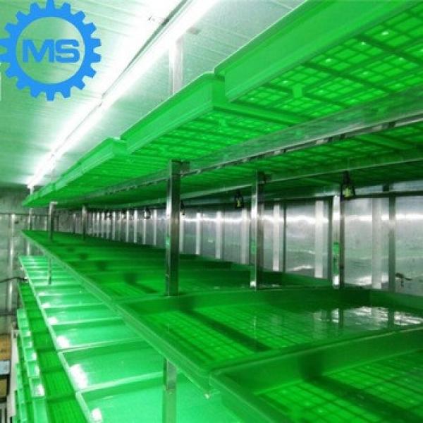 Fully automatic hydroponic animal feed pellet machine