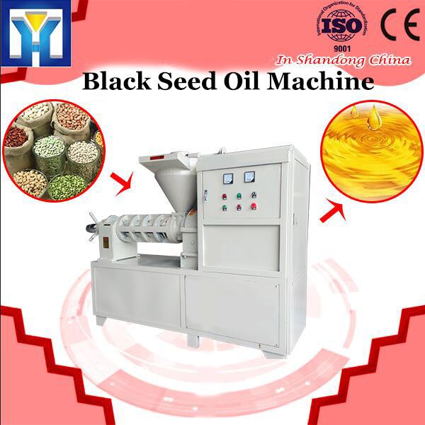 New condition cold press oil machine price black seed oil press machine home