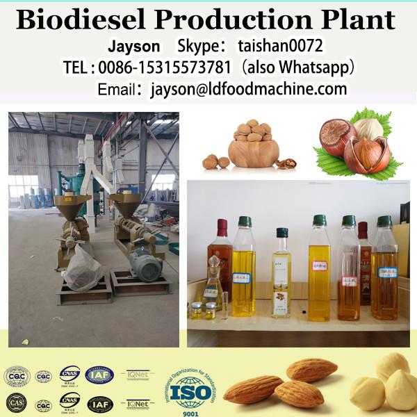 Running biodiesel plant