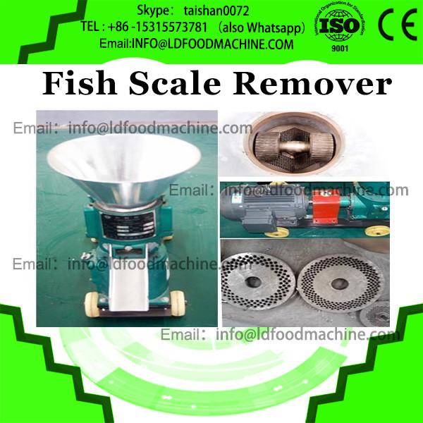 Automatic fresh fish scale peeling machine for sale, easy cleaning fish descale machine