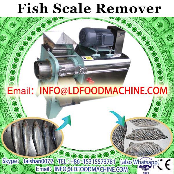 Automatic fresh fish scale peeling machine for sale, easy cleaning fish descale machine