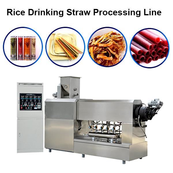Industrial Baby Pasta Macaroni Rice Straw Extrusion Machine