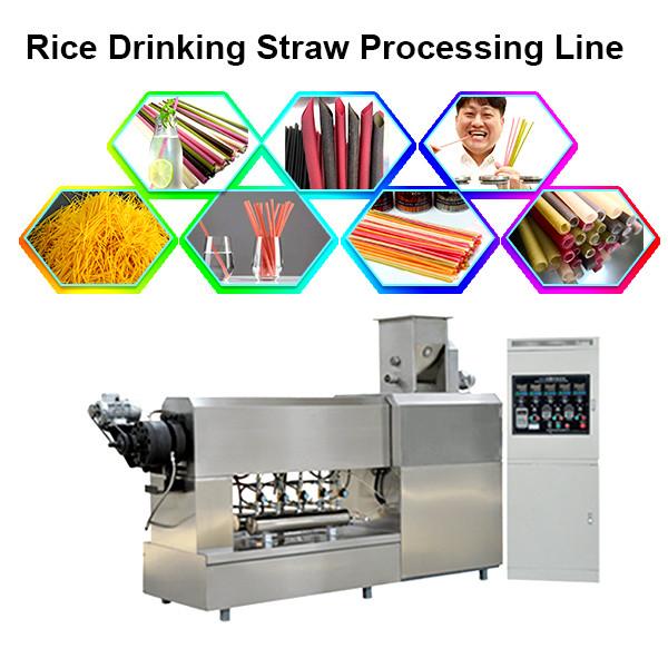 Tapioca straw / haustorial tube extruder machine / processing extruder