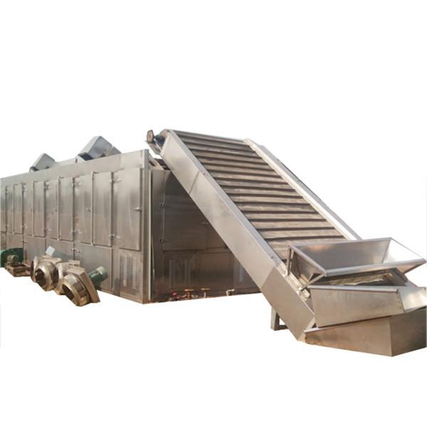 Factory Directly Sale Microwave Mesh Belt Drying Dryer with Sterilization for Food/Fruit/Vegetable/Chemical/Health Care Products