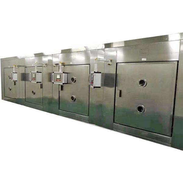 Industrial Continuous Microwave Dryer