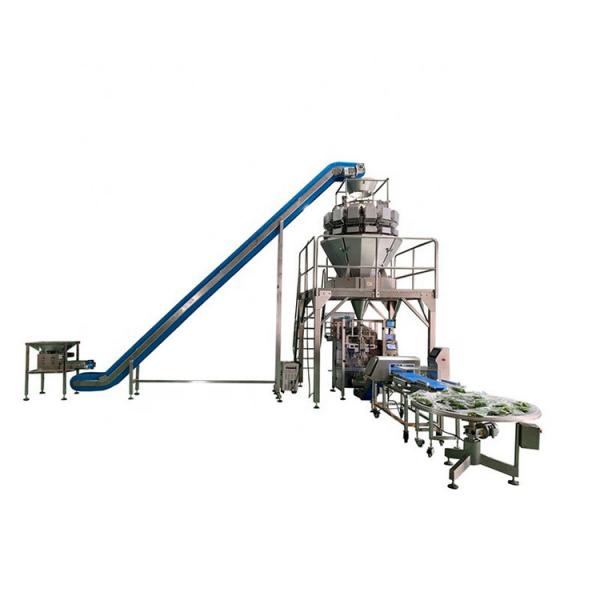100Kg h Small Medium Snack Food Frozen Potato Chips French Fries Machine Production Line